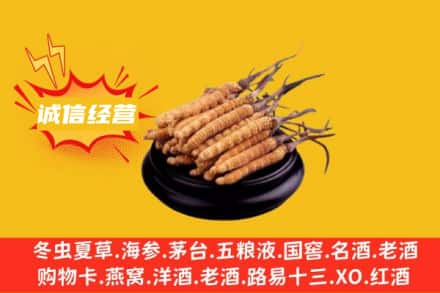 西乡塘区回收冬虫夏草